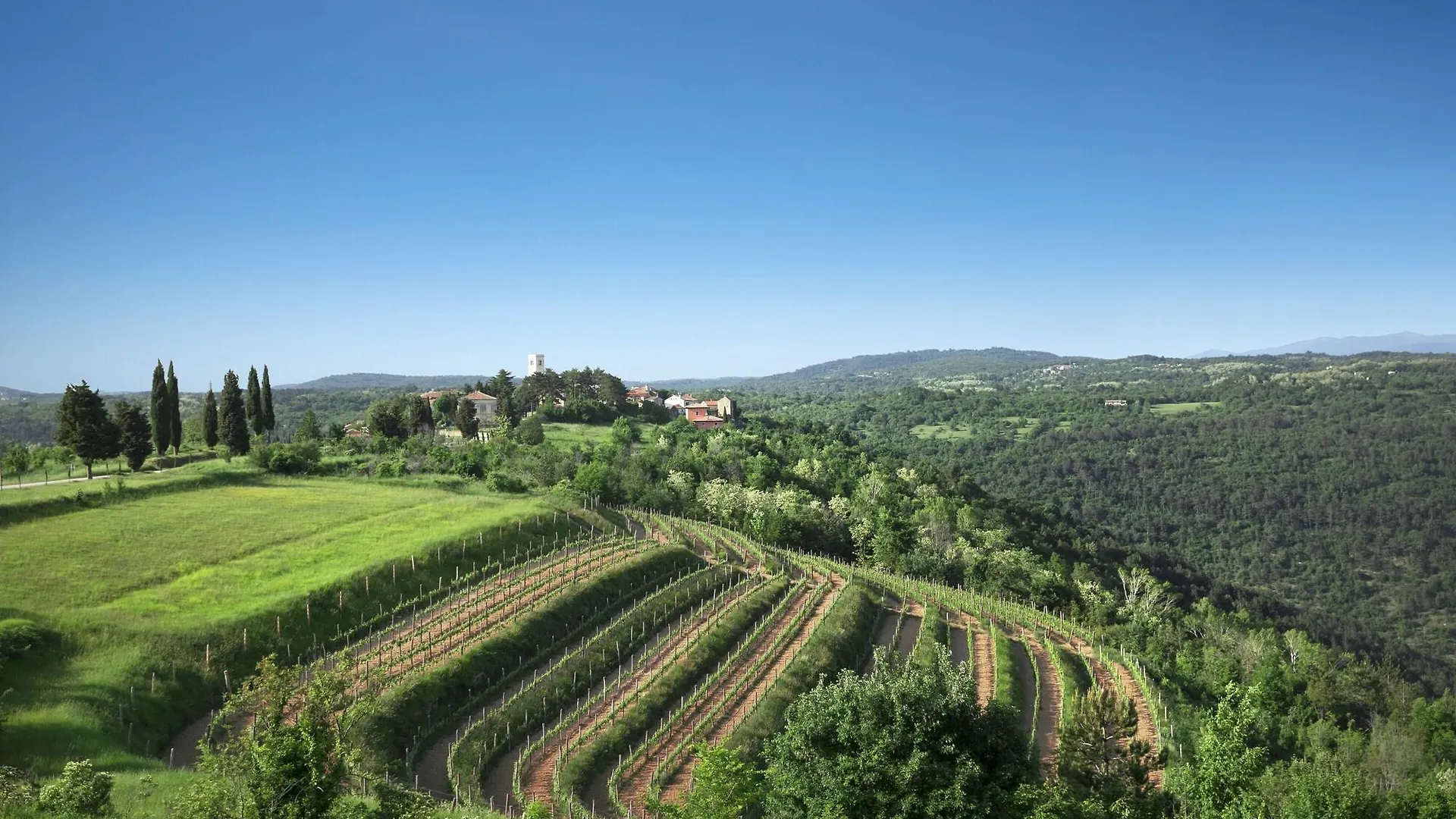 Palazzo Angelica B&B Adults Only Oprtalj